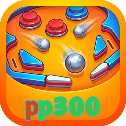 pp300