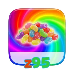 z95